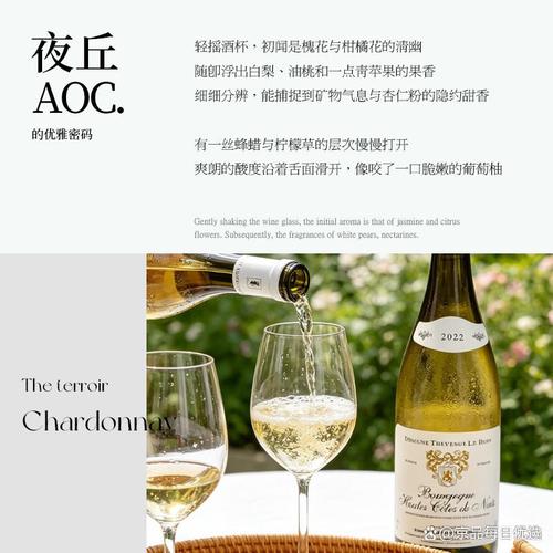 白葡萄酒哪個品牌口感好?